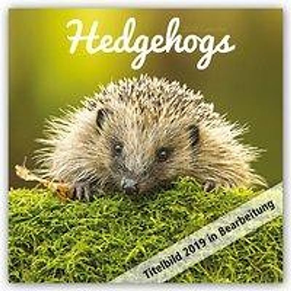 Hedgehogs 2019, Carousel Calendars