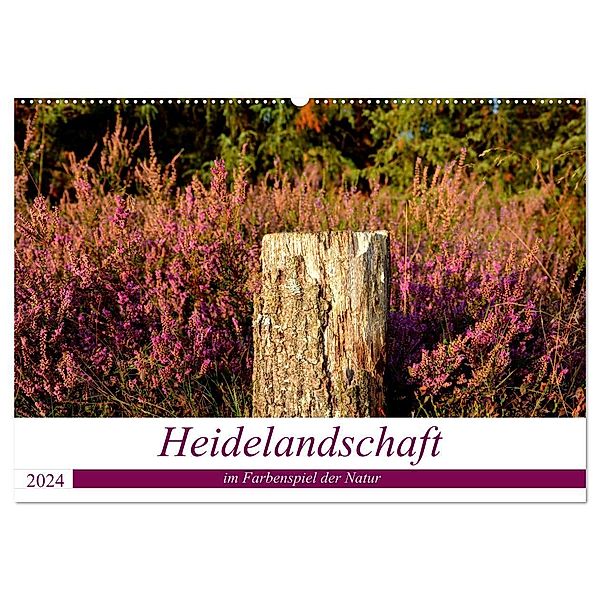 Heidelandschaft im Farbenspiel der Natur (Wandkalender 2024 DIN A2 quer), CALVENDO Monatskalender, Petra Giesecke
