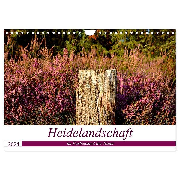 Heidelandschaft im Farbenspiel der Natur (Wandkalender 2024 DIN A4 quer), CALVENDO Monatskalender, Petra Giesecke