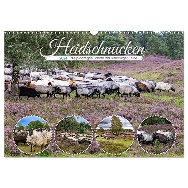 Heidschnucken, die prächtigen Schafe der Lüneburger Heide (Wandkalender 2024 DIN A3 quer), CALVENDO Monatskalender, Calvendo, Sandra Lorenzen-Müller
