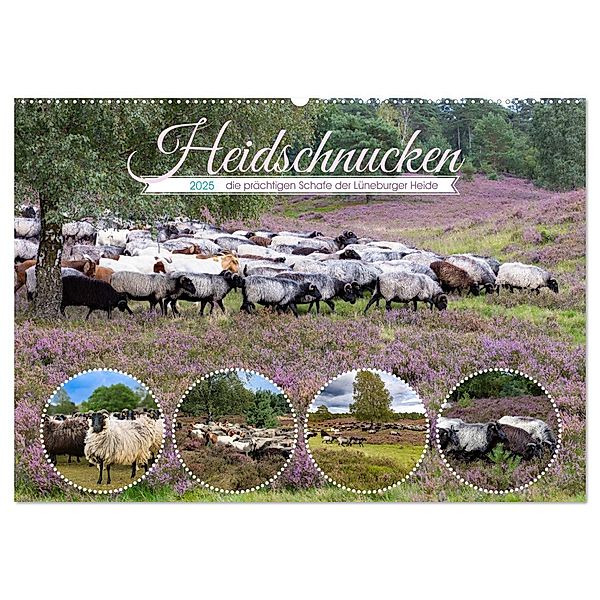 Heidschnucken, die prächtigen Schafe der Lüneburger Heide (Wandkalender 2025 DIN A2 quer), CALVENDO Monatskalender, Calvendo, Sandra Lorenzen-Müller