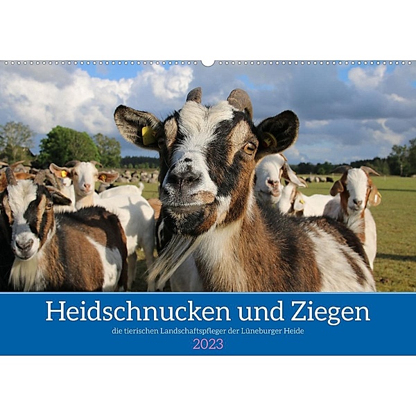 Heidschnucken und Ziegen die tierischen Landschaftspfleger der Lüneburger Heide (Wandkalender 2023 DIN A2 quer), Sandra Lorenzen-Müller