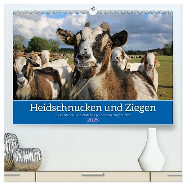 Heidschnucken und Ziegen die tierischen Landschaftspfleger der Lüneburger Heide (hochwertiger Premium Wandkalender 2025 DIN A2 quer), Kunstdruck in Hochglanz, Calvendo, Sandra Lorenzen-Müller