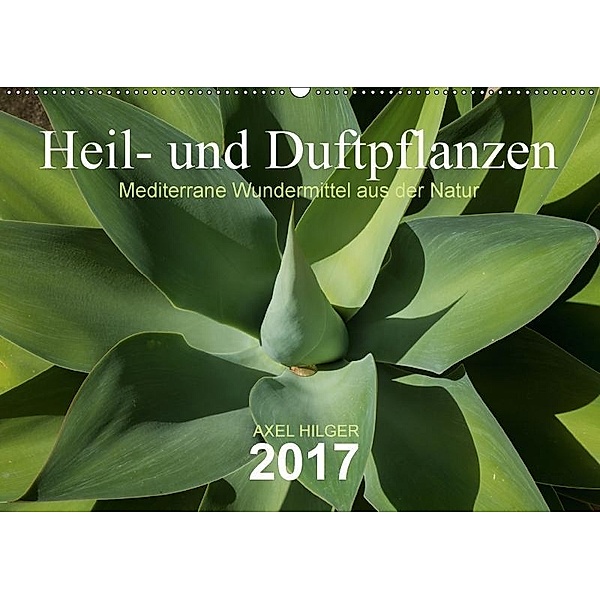 Heil- und Duftpflanzen (Wandkalender 2017 DIN A2 quer), Axel Hilger