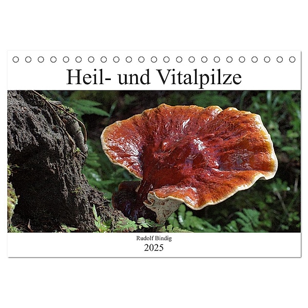 Heil- und Vitalpilze (Tischkalender 2025 DIN A5 quer), CALVENDO Monatskalender, Calvendo, Rudolf Bindig