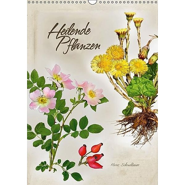 Heilende Pflanzen (Wandkalender 2016 DIN A3 hoch), Heinz Schmidbauer