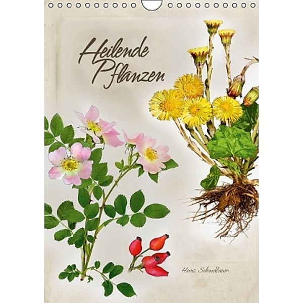 Heilende Pflanzen (Wandkalender 2016 DIN A4 hoch), Heinz Schmidbauer
