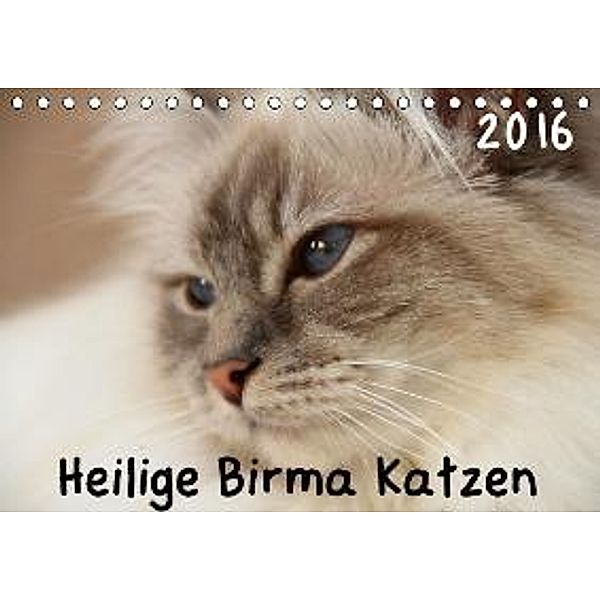 Heilige Birma Katzen 2016 (Tischkalender 2016 DIN A5 quer), grapheum.de