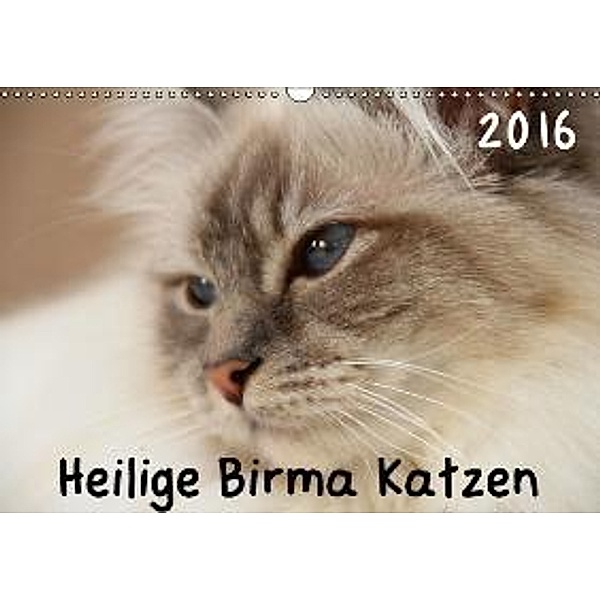 Heilige Birma Katzen 2016 (Wandkalender 2016 DIN A3 quer), grapheum.de