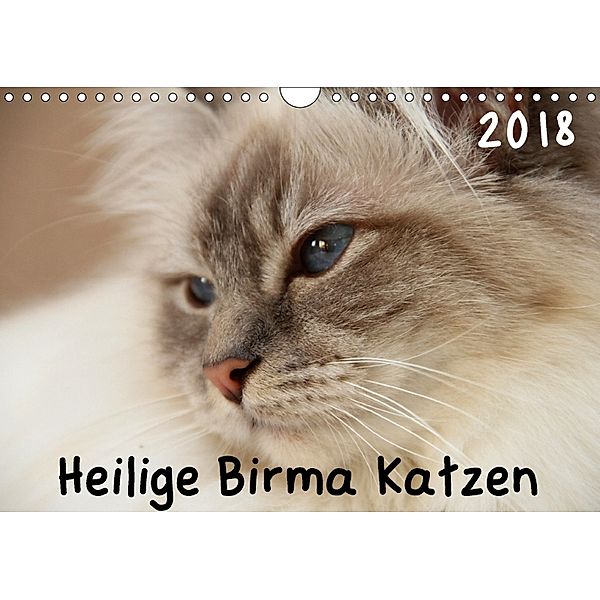 Heilige Birma Katzen 2018 (Wandkalender 2018 DIN A4 quer), grapheum.de