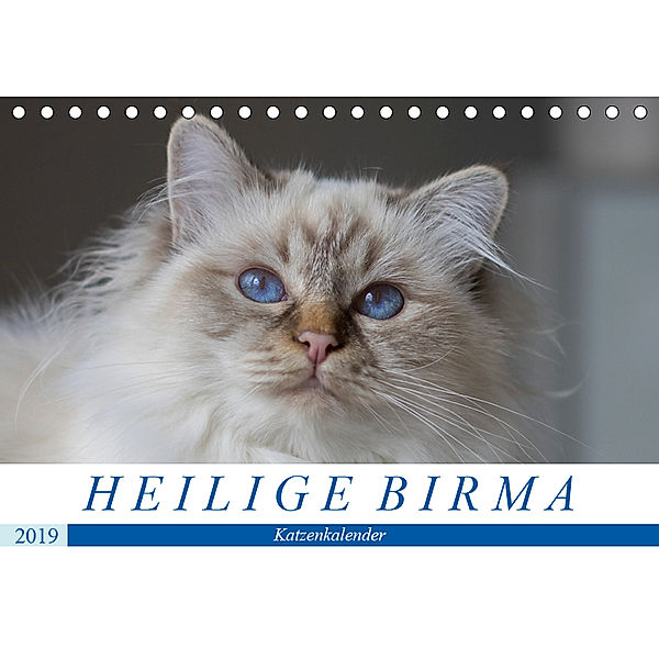 Heilige Birma Katzen (Tischkalender 2019 DIN A5 quer), Michaela Münch