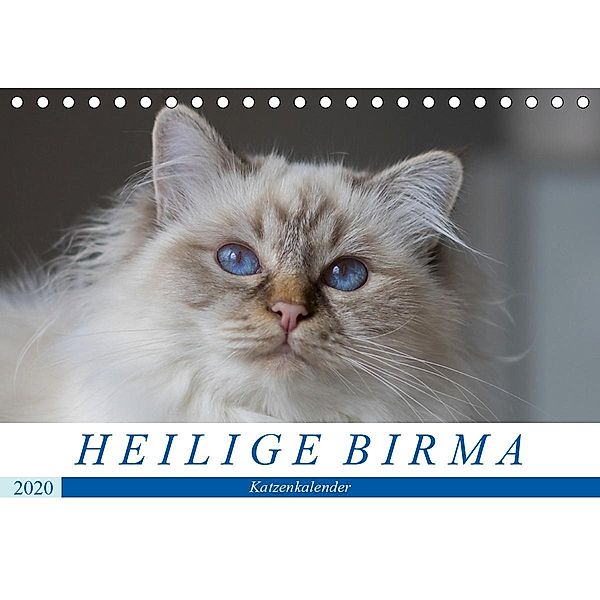 Heilige Birma Katzenkalender (Tischkalender 2020 DIN A5 quer), Michaela Münch