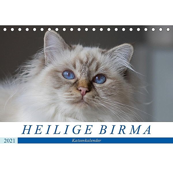 Heilige Birma Katzenkalender (Tischkalender 2021 DIN A5 quer), Michaela Münch
