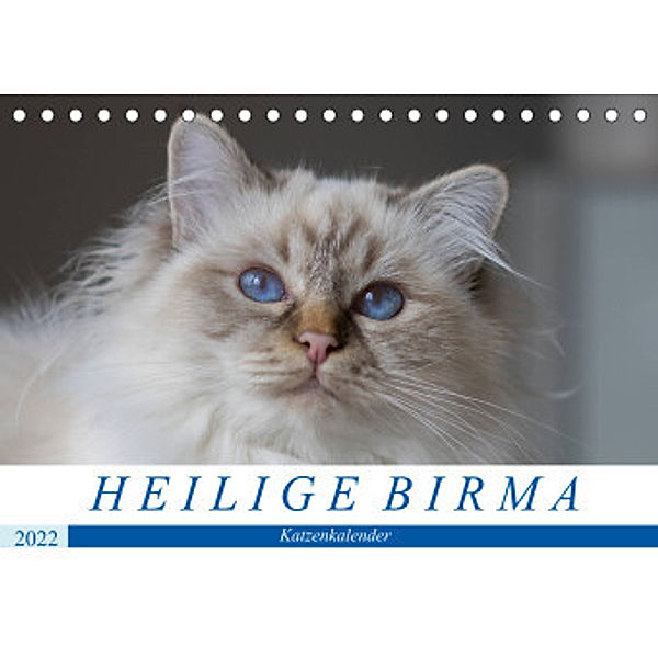 Heilige Birma Katzenkalender (Tischkalender 2022 DIN A5 quer), Michaela Münch