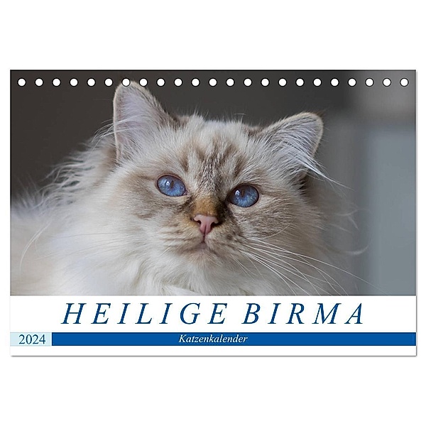 Heilige Birma Katzenkalender (Tischkalender 2024 DIN A5 quer), CALVENDO Monatskalender, Michaela Münch