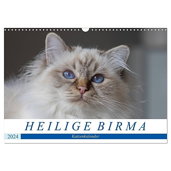 Heilige Birma Katzenkalender (Wandkalender 2024 DIN A3 quer), CALVENDO Monatskalender, Michaela Münch