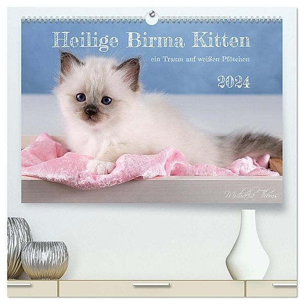 Heilige Birma Kitten - ein Traum auf weissen Pfötchen (hochwertiger Premium Wandkalender 2024 DIN A2 quer), Kunstdruck in Hochglanz, Michaela Thoms