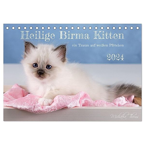 Heilige Birma Kitten - ein Traum auf weißen Pfötchen (Tischkalender 2024 DIN A5 quer), CALVENDO Monatskalender, Michaela Thoms