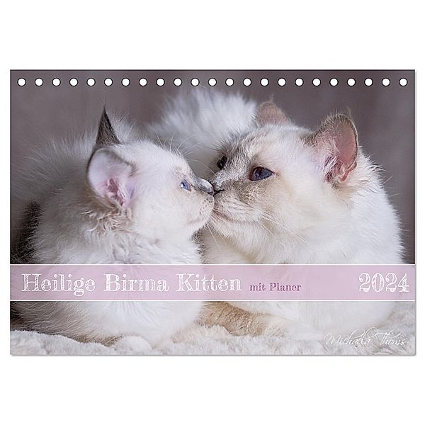 Heilige Birma Kitten mit Planer (Tischkalender 2024 DIN A5 quer), CALVENDO Monatskalender, Michaela Thoms