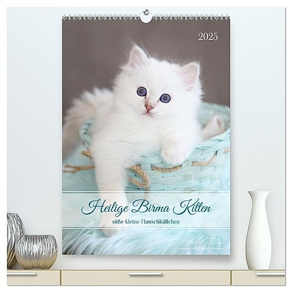 Heilige Birma Kitten - süße kleine Flauschbällchen (hochwertiger Premium Wandkalender 2025 DIN A2 hoch), Kunstdruck in Hochglanz, Calvendo, Michaela Thoms