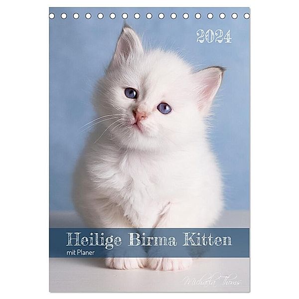 Heilige Birma Kittenkalender mit Planer (Tischkalender 2024 DIN A5 hoch), CALVENDO Monatskalender, Michaela Thoms