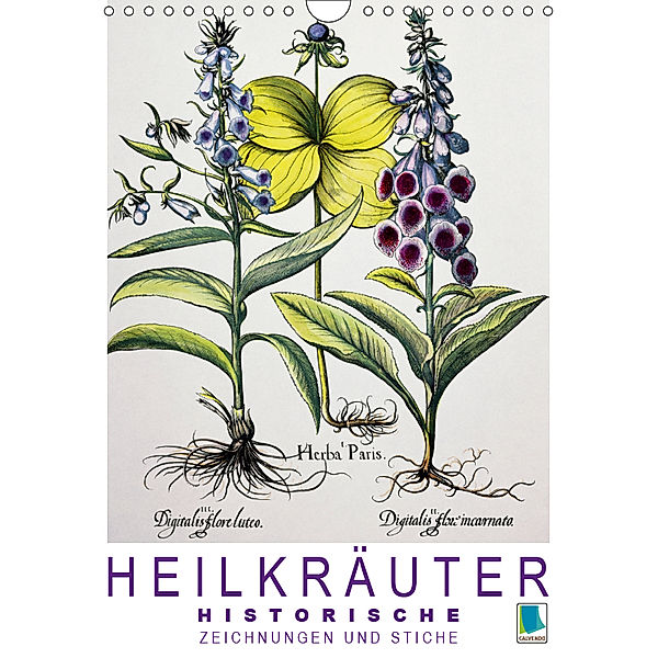 Heilkräuter: Historische Zeichnungen und Stiche (Wandkalender 2019 DIN A4 hoch), Calvendo