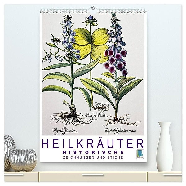 Heilkräuter: Historische Zeichnungen und Stiche (hochwertiger Premium Wandkalender 2024 DIN A2 hoch), Kunstdruck in Hochglanz, Calvendo