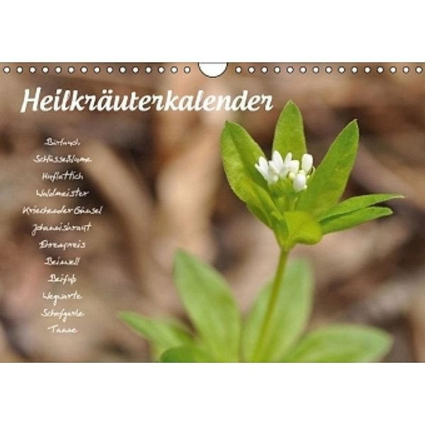 Heilkräuterkalender AT-Version (Wandkalender 2016 DIN A4 quer), Use Your Spirit