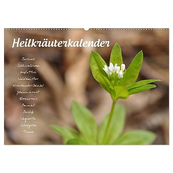 Heilkräuterkalender (Wandkalender 2024 DIN A2 quer), CALVENDO Monatskalender, Use Your Spirit