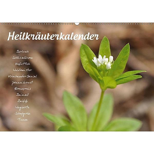 HeilkräuterkalenderAT-Version (Wandkalender 2020 DIN A2 quer), Use Your Spirit