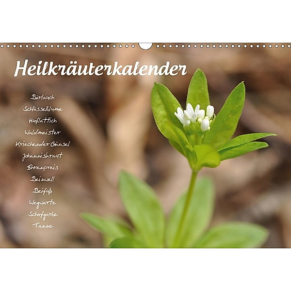 HeilkräuterkalenderAT-Version (Wandkalender 2020 DIN A3 quer), Use Your Spirit