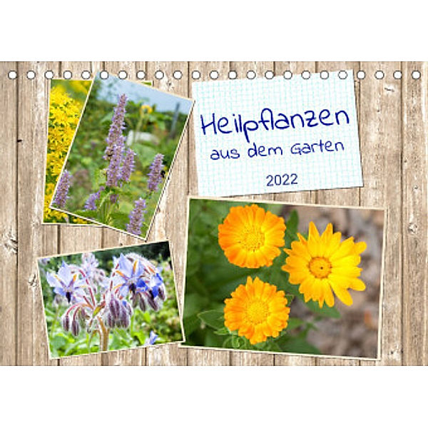 Heilpflanzen aus dem Garten (Tischkalender 2022 DIN A5 quer), Kerstin Waurick