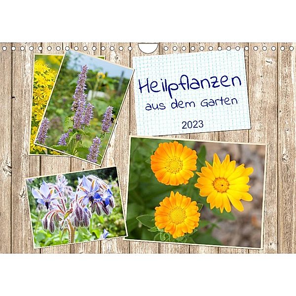 Heilpflanzen aus dem Garten (Wandkalender 2023 DIN A4 quer), Kerstin Waurick