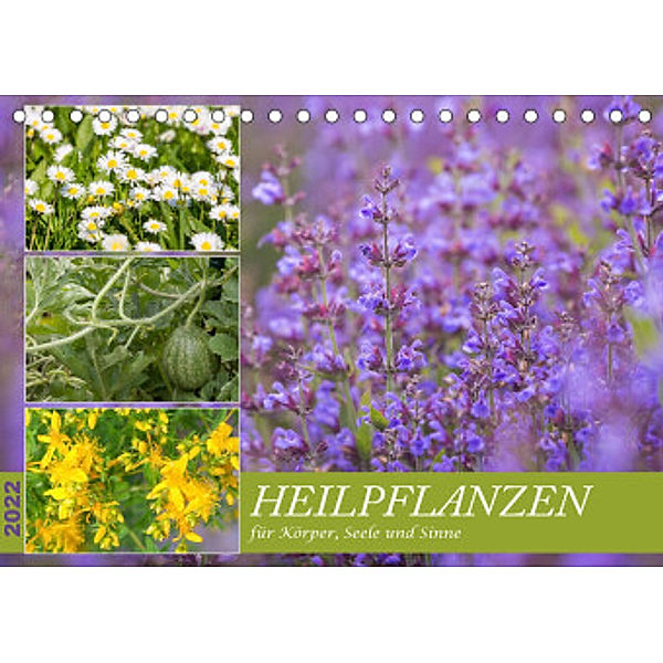 Heilpflanzen für Körper, Seele und Sinne (Tischkalender 2022 DIN A5 quer), NHV Theophrastus