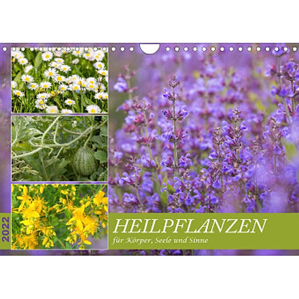 Heilpflanzen für Körper, Seele und Sinne (Wandkalender 2022 DIN A4 quer), NHV Theophrastus