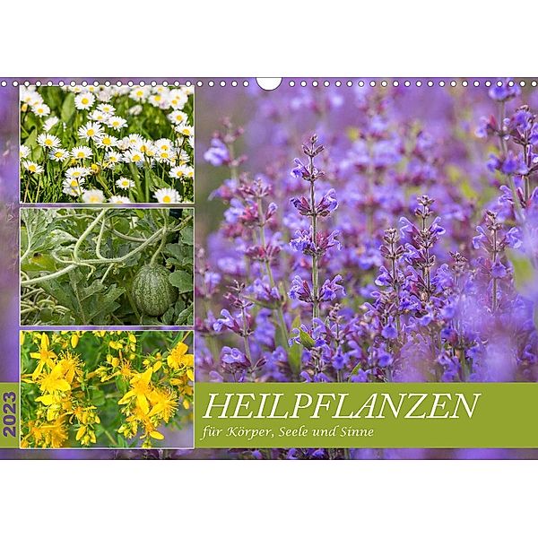 Heilpflanzen für Körper, Seele und Sinne (Wandkalender 2023 DIN A3 quer), NHV Theophrastus