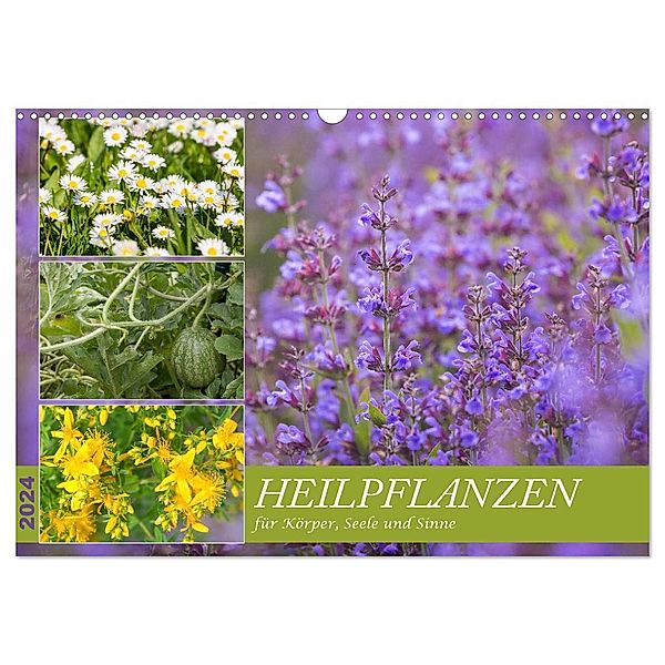 Heilpflanzen für Körper, Seele und Sinne (Wandkalender 2024 DIN A3 quer), CALVENDO Monatskalender, NHV Theophrastus