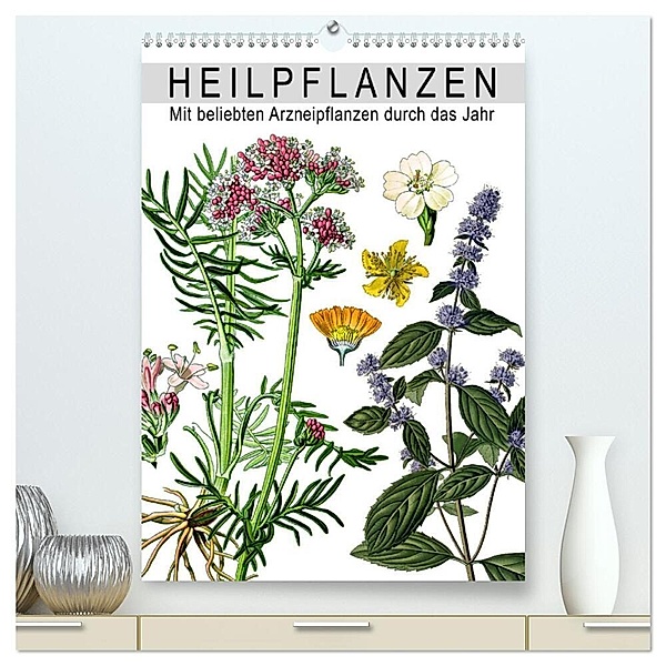 Heilpflanzen (hochwertiger Premium Wandkalender 2024 DIN A2 hoch), Kunstdruck in Hochglanz, Babette Reek