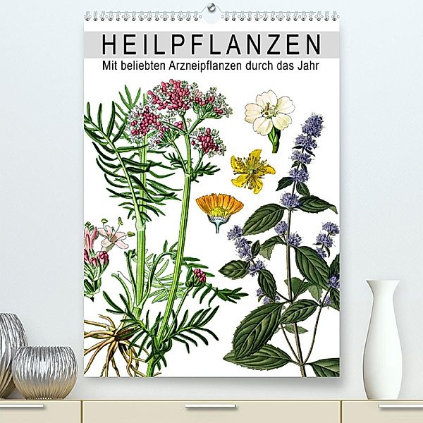 Heilpflanzen (Premium, hochwertiger DIN A2 Wandkalender 2023, Kunstdruck in Hochglanz), Bilder: bilwissedition.com  Layout: Babette Reek