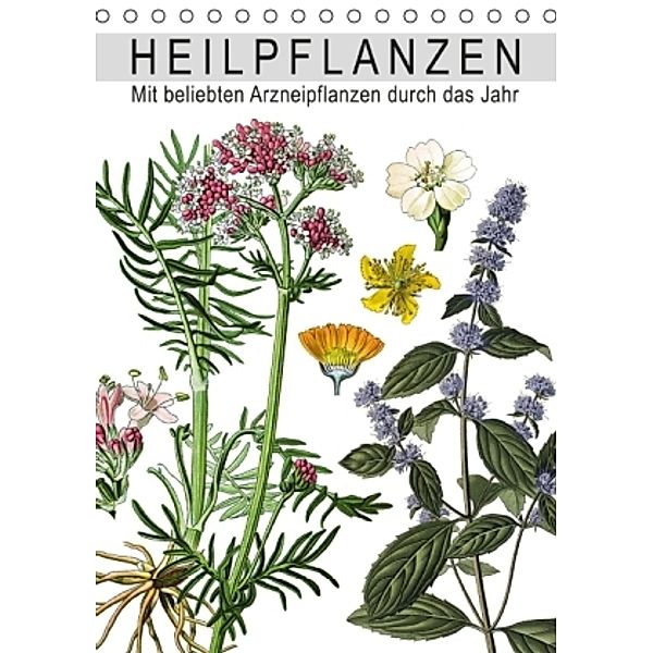 Heilpflanzen (Tischkalender 2016 DIN A5 hoch), Babette Reek