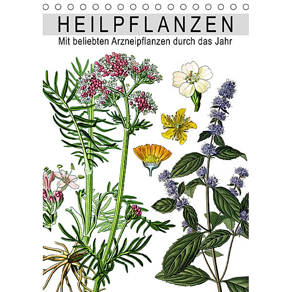 Heilpflanzen (Tischkalender 2019 DIN A5 hoch), Babette Reek