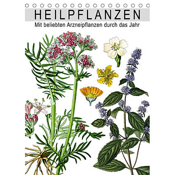 Heilpflanzen (Tischkalender 2022 DIN A5 hoch), Bilder: bilwissedition.com  Layout: Babette Reek