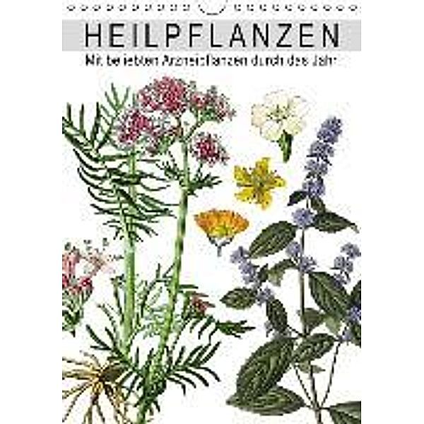 Heilpflanzen (Wandkalender 2015 DIN A4 hoch), Babette Reek