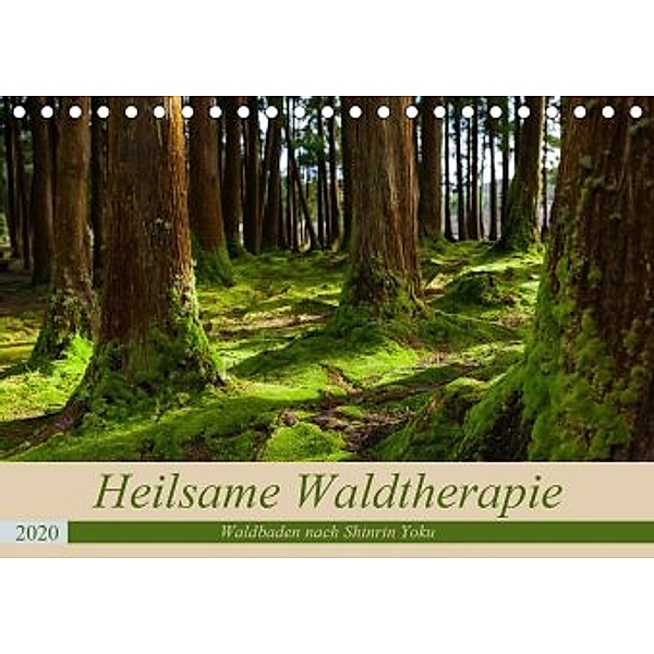 Heilsame Waldtherapie - Waldbaden nach Shinrin Yoku (Tischkalender 2020 DIN A5 quer), Janita Webeler
