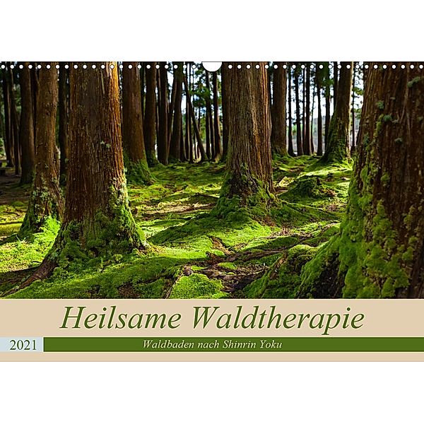 Heilsame Waldtherapie - Waldbaden nach Shinrin Yoku (Wandkalender 2021 DIN A3 quer), Janita Webeler