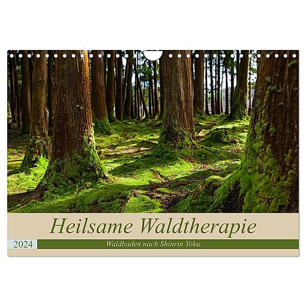 Heilsame Waldtherapie - Waldbaden nach Shinrin Yoku (Wandkalender 2024 DIN A4 quer), CALVENDO Monatskalender, Janita Webeler