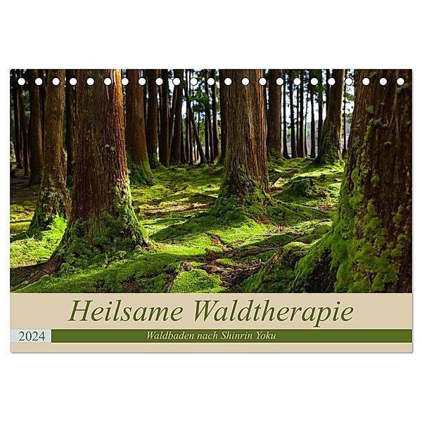 Heilsame Waldtherapie - Waldbaden nach Shinrin Yoku (Tischkalender 2024 DIN A5 quer), CALVENDO Monatskalender, Janita Webeler