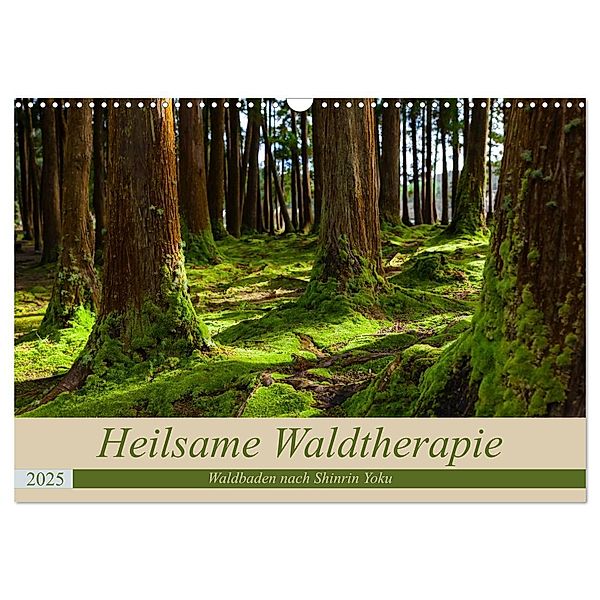 Heilsame Waldtherapie - Waldbaden nach Shinrin Yoku (Wandkalender 2025 DIN A3 quer), CALVENDO Monatskalender, Calvendo, Janita Webeler