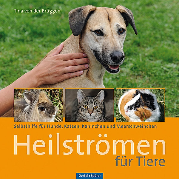 Heilströmen für Tiere, Tina von der Brüggen