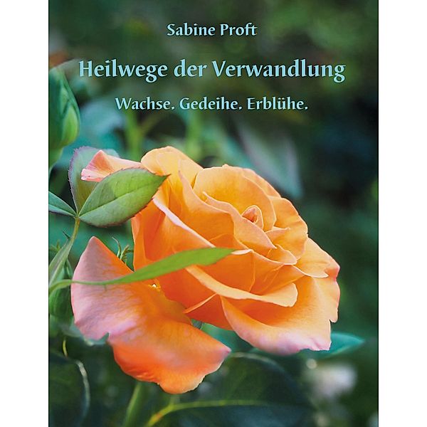 Heilwege der Verwandlung / Heilwege der Verwandlung Bd.1, Sabine Proft